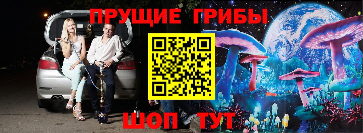 Псилоцибиновые грибы прущие грибы Острогожск